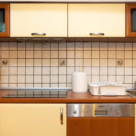 Centar Apartment